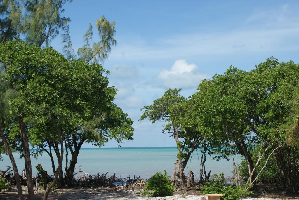 Ferienwohnung Bonita'S Caye Caulker Zimmer foto