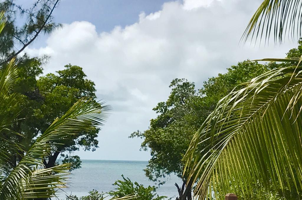 Ferienwohnung Bonita'S Caye Caulker Exterior foto